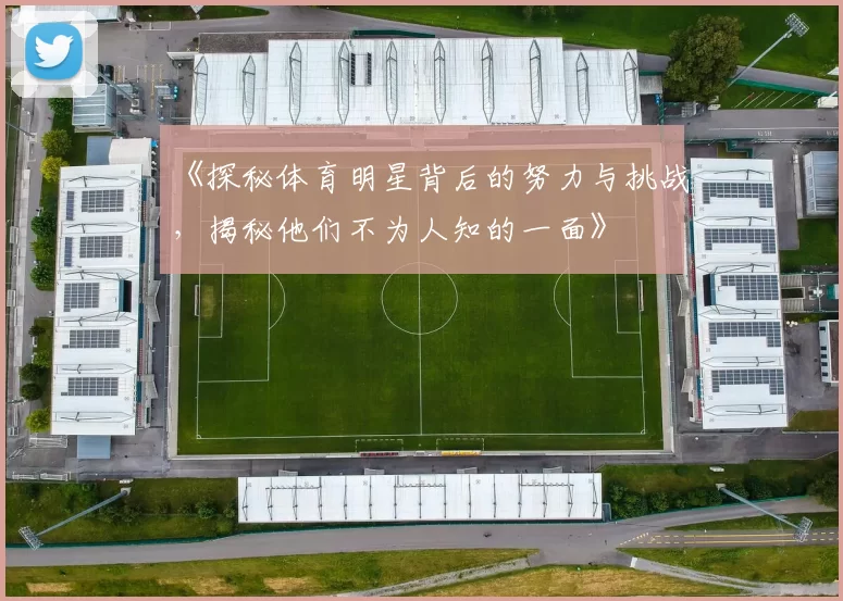 《探秘体育明星背后的努力与挑战,揭秘他们不为人知的一面》