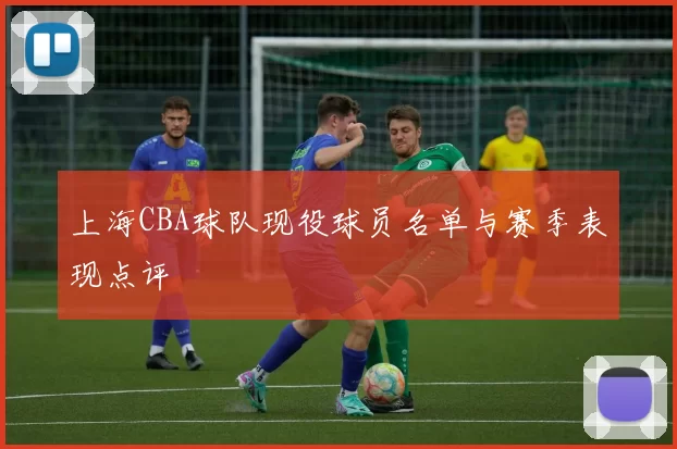 上海CBA球队现役球员名单与赛季表现点评