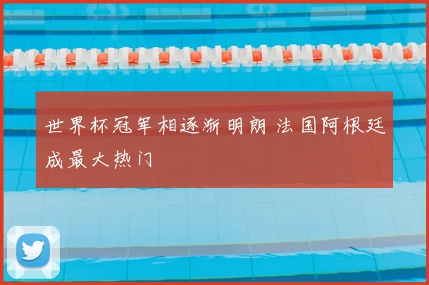 世界杯冠军相逐渐明朗 法国阿根廷成最大热门