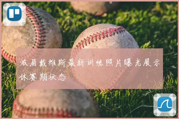 浓眉戴维斯最新训练照片曝光展示休赛期状态