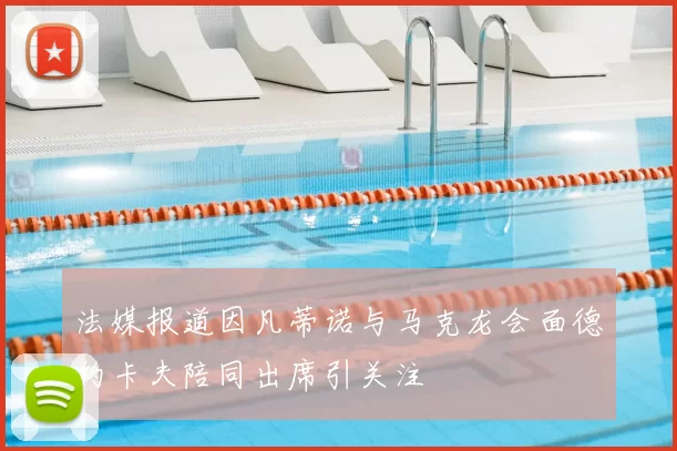 法媒报道因凡蒂诺与马克龙会面德约卡夫陪同出席引关注
