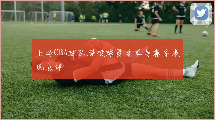 上海CBA球队现役球员名单与赛季表现点评