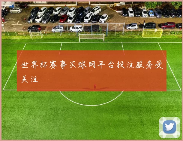 世界杯赛事买球网平台投注服务受关注