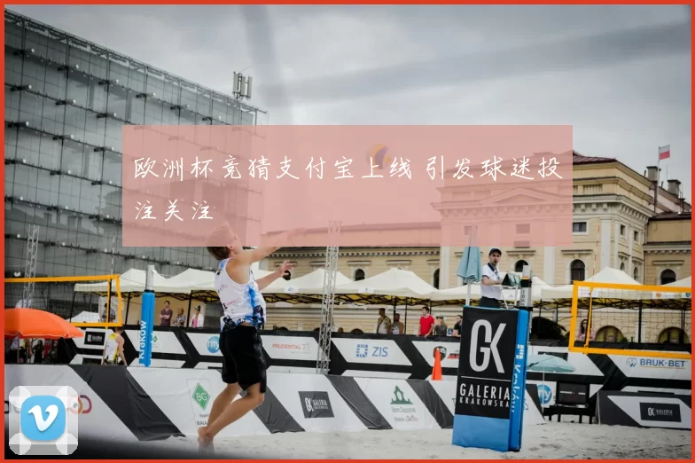 欧洲杯竞猜支付宝上线 引发球迷投注关注