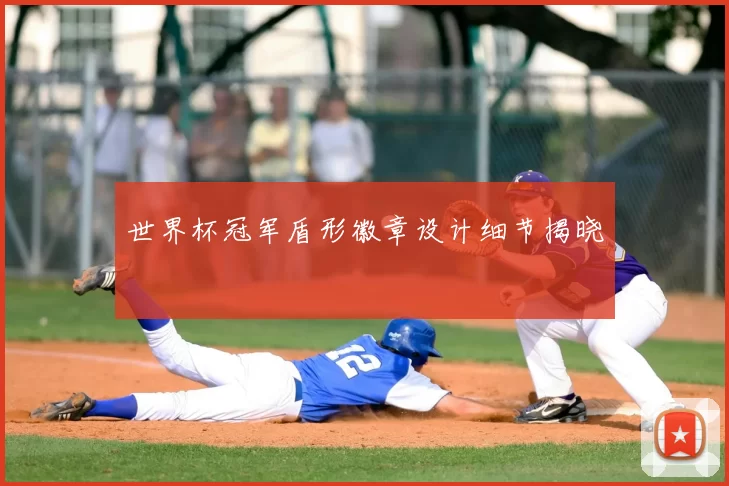 世界杯冠军盾形徽章设计细节揭晓