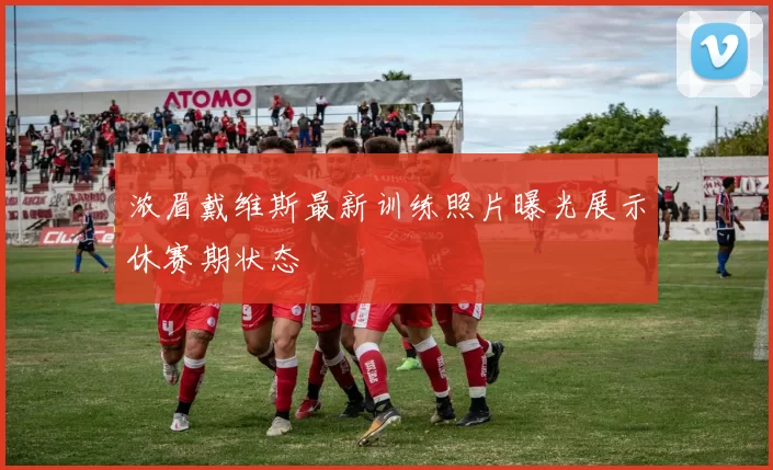 浓眉戴维斯最新训练照片曝光展示休赛期状态